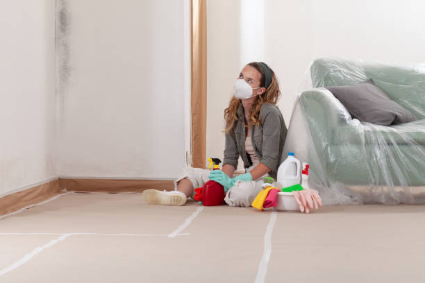 Reliable Mold Cleanup contractor in Jefferson, NC by WQB Mold Removal
